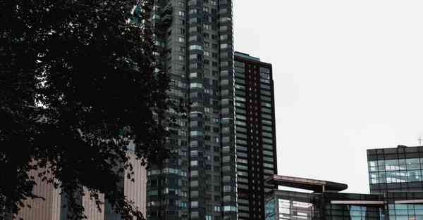 佛跳墙永久v2.
